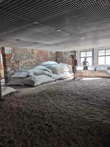 Exposition Animal - Premier Prix